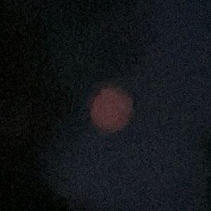 Meet your Posher, Isabella